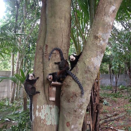 Hotel Pousada Quintessencia Porto Seguro Zewnętrze zdjęcie